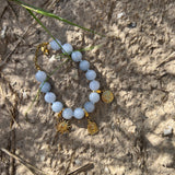 Charms the universe