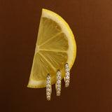 Brooke Klassisk Creoler med Flere Zirkonia